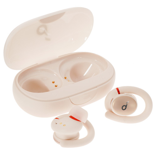 Купить Наушники TWS Anker Soundcore Sport X10  бежевый 2022 в интернет-магазине DNS. Характеристики, цена Anker Soundcore Sport X10 | 5089437.