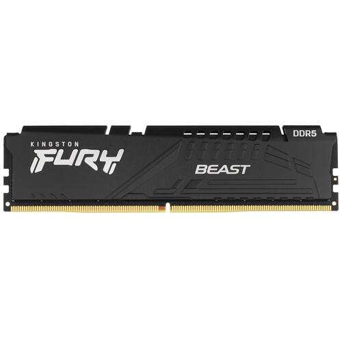 Купить Оперативная память Kingston Fury Beast Black AMD [KF560C36BBE-32] 32 ГБ в интернет-магазине DNS. Характеристики, цена Kingston Fury Beast Black AMD | 5093303.
