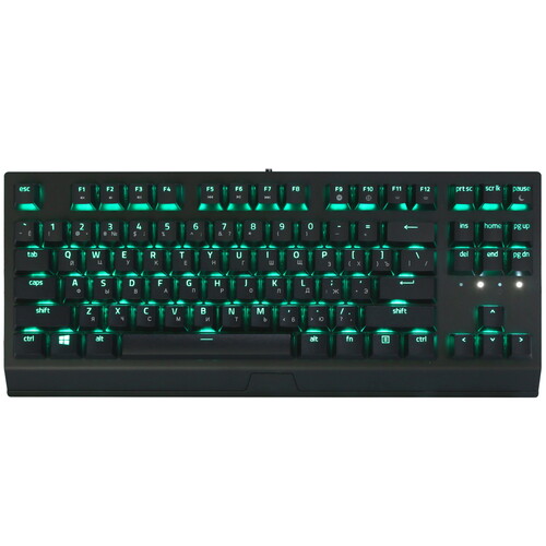 Купить Клавиатура  проводная Razer BlackWidow V3 TKL в интернет-магазине DNS. Характеристики, цена Razer BlackWidow V3 TKL | 5059624.