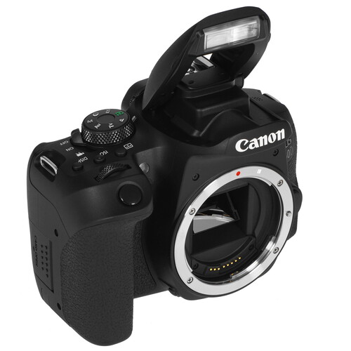 Купить Зеркальный фотоаппарат Canon EOS 850D Body черный в интернет ...