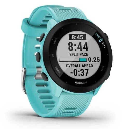 Купить Спортивные часы Garmin Forerunner 55 в интернет-магазине DNS. Характеристики, цена Garmin Forerunner 55 | 5085010.