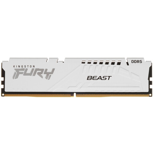 Купить Оперативная память Kingston FURY Beast White [KF552C40BW-16] 16 ГБ в интернет-магазине DNS. Характеристики, цена Kingston FURY Beast White | 5406613.