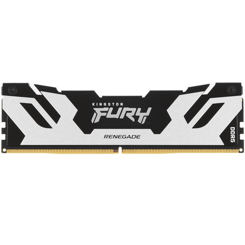 Купить Оперативная память Kingston FURY Renegade Silver [KF564C32RS-24] 24 ГБ в интернет-магазине DNS. Характеристики, цена Kingston FURY Renegade Silver | 5436235.