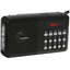Радиоприемник Aceline AR330 черный [моно, дисплей, FM, подключение наушников, mini USB, питание - от аккумулятора, от батареек]