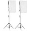 Комплект постоянного света Rekam CL-250-FL2-SB Kit [5500 К, люминесцентная лампа]