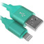 Кабель DEXP Lightning 8-pin - USB Type-A зеленый [USB 2.0, форма - круглая, оплетка - ПВХ, 2 А, 10 Вт, металлический корпус разъемов, 1 шт]