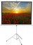 120" Экран для проектора Digis Kontur-D DSKD-4304 [4:3, 240x180 см, на штативе, штатив, Matte White]
