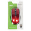 Мышь беспроводная Acer OMR032 [ZL.MCEEE.009] красный [1600 dpi, светодиодный, USB Type-A, кнопки - 4]