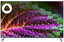 50" (127 см) Телевизор DEXP 50UCY1 синий [Direct LED, 4K UltraHD, Wi-Fi, 60 Гц, YaOS, HDMI х 3, USB х 2 шт]