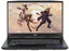 17.3" Ноутбук MSI Katana 17 B13VFK-470XRU черный [английская/русская раскладка, 1920x1080, IPS, Intel Core i5-13420H, ядра: 4 +  4 х 2.1 ГГц + 1.5 ГГц, RAM 16 ГБ, SSD 1000 ГБ, GeForce RTX 4060 для ноутбуков, 8 ГБ, без ОС]