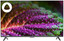 43" (108 см) Телевизор DEXP U43G8100Q серый [Direct LED, 4K UltraHD, Wi-Fi, 60 Гц, YaOS, HDMI х 3, USB х 2 шт]