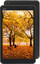 8" Планшет DEXP Ursus N280i LTE 32 ГБ черный [1280x800, IPS, 4x1.4 ГГц, 3 ГБ, 5000 мА*ч, Android 9.x+]