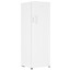 Морозильный шкаф  Hisense FV245N4AW1 белый [186 л, No Frost, 262 кВтч/год, отделы - 6 шт, 55 см x 169.1 см x 55.7 см]
