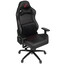 Компьютерное кресло ARDOR GAMING Force Armor 5000M черный [экокожа, до 150 кг, подголовник, подлокотники - 3D]