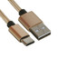 Кабель DEXP USB Type-C - USB Type-A золотистый [USB 2.0, форма - круглая, оплетка - нейлоновая, 2 А, металлический корпус разъемов, 1 шт]