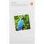 Фотобумага Xiaomi Instant Photo Paper 3" [40 фото]