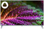 43" (108 см) Телевизор DEXP 43UCY1/G серый [Direct LED, 4K UltraHD, Wi-Fi, 60 Гц, YaOS, HDMI х 3, USB х 2 шт]