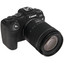 Беззеркальный фотоаппарат Canon EOS RP Kit RF 24-105mm IS STM черный [с объективом, полнокадровый, 26.2 Мп, фото: 6240x4160 пикс, до 5 кадр./сек, видео 4K, дисплей поворотный, Bluetooth, Wi-Fi]